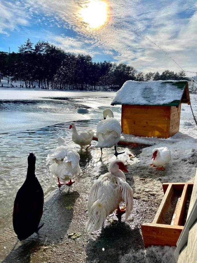 Lux Apartmani Vojinovic Zlatibor Esterno foto
